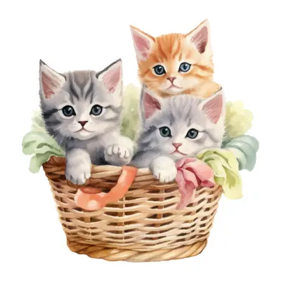 kitten products and accessories
