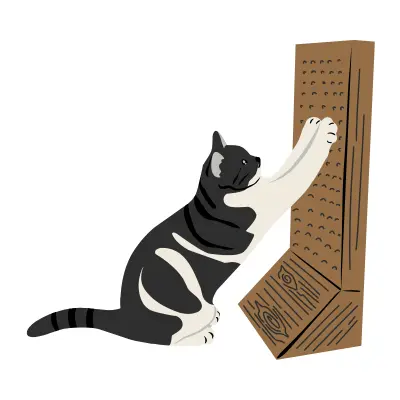 ragdoll kitten traits and behavior